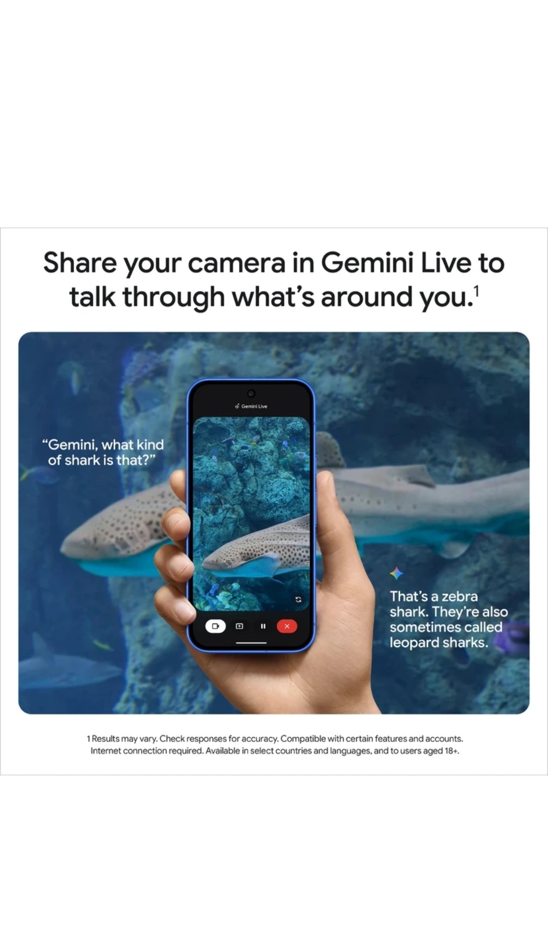 GOOGLE PIXAL10 256 ROM Phone Tech
